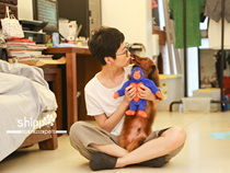 Golden Mao Qibao Family OrchidPets Aokai Forest Guard Warriors plush rubber splicing voice toys Golden hair