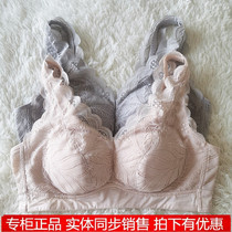 Sinilan 39122 Mulberry Silk No Steel Ring Sports Bra Supporting Chest Received Breast Lace Underwear