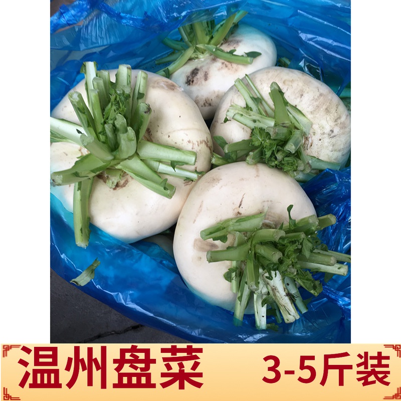 Wenzhou specialty farmhouse fresh dish head flat radish kohlrabi dish dish 3 5 catties loaded with more provinces