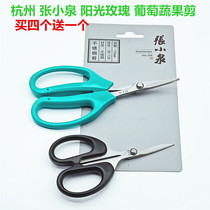 (Buy 4 get 1 free)Hangzhou Zhang Xiaoquan grape fruit and vegetable scissors Stainless steel warped head FL-19 sunshine rose vegetable flower scissors