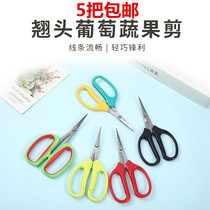 (5 buy 11 get 1 free)Wang Wuquan 2108 Grape sparse flower shear sparse head fruit and vegetable shear thin fruit Zhang Xiaoquan