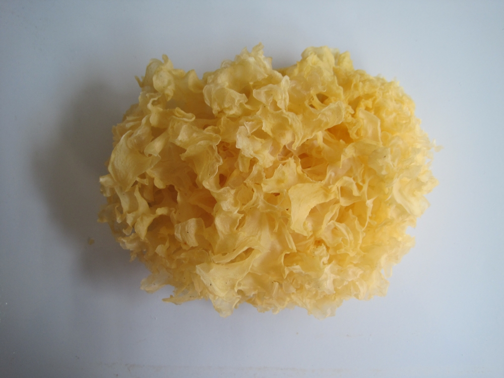 Gutian farmhouse gold silver ear dry 130g white agaric complete with no sulphur one burn i.e. glutinous new goods Xueared