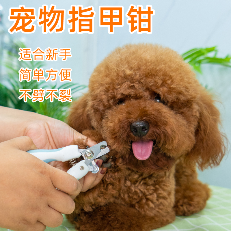 Pet Nail Clippers Pooch Cat Fingernail Scissors With Filing Knife Full-Dog Universal Nail Knife Cleaning Supplies