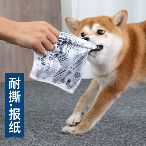 Собачные звуковые газеты игрушки, измельчение зубов, интерактивные скучные, маленькие и средние собаки