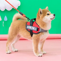 Дерепный затяжка Shiba Inu Senge Bess, Backprone Back Dog Взрыв -защитный круг слухов о переходе домашних животных, веревка для собак с собакой