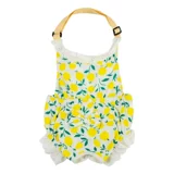 Другие магазины брюк возвращают более 10 000 видов цветных брюк, домашние животные, собаки, физиологические брюки, специальные менструальные брюки.