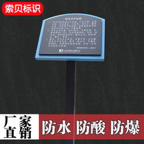 Green Park Scenic Spot guide galvanized steel plate stainless steel paint imitation wood grain effect