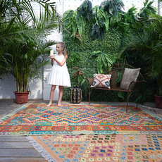 ковер 优立地毯家居馆 孤品清仓地毯 北欧民宿简约美式地毯孤品 State carpet
