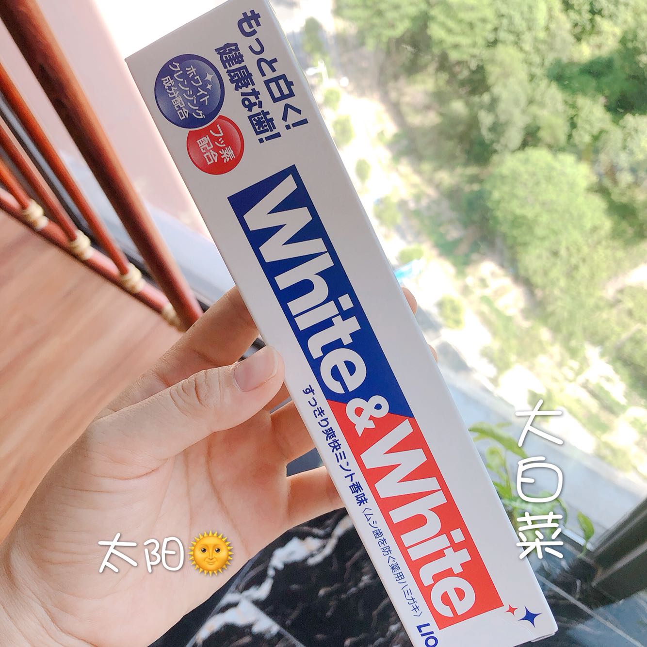 Japan's original dress LION Lion King WHITE Great White toothpaste whitening damage to yellow to mouth stinky smoke stains mint 150g