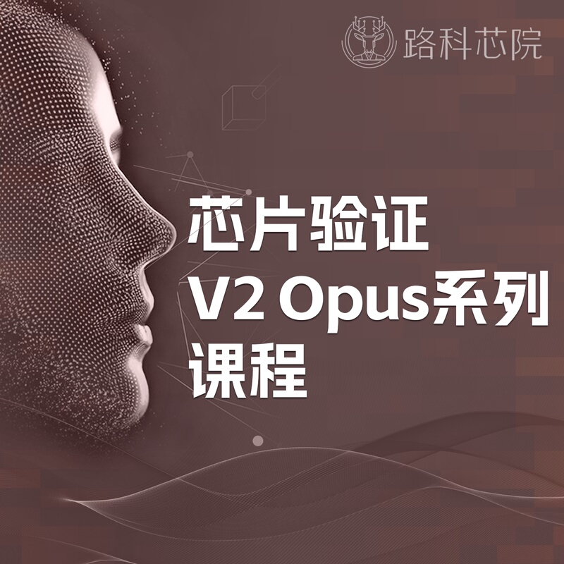 Chip Verification V2 Opus Course - Newly Upgraded and Crafted with Great Care - [Luo Ke Verification] - Taught Directly by Lu Sang
