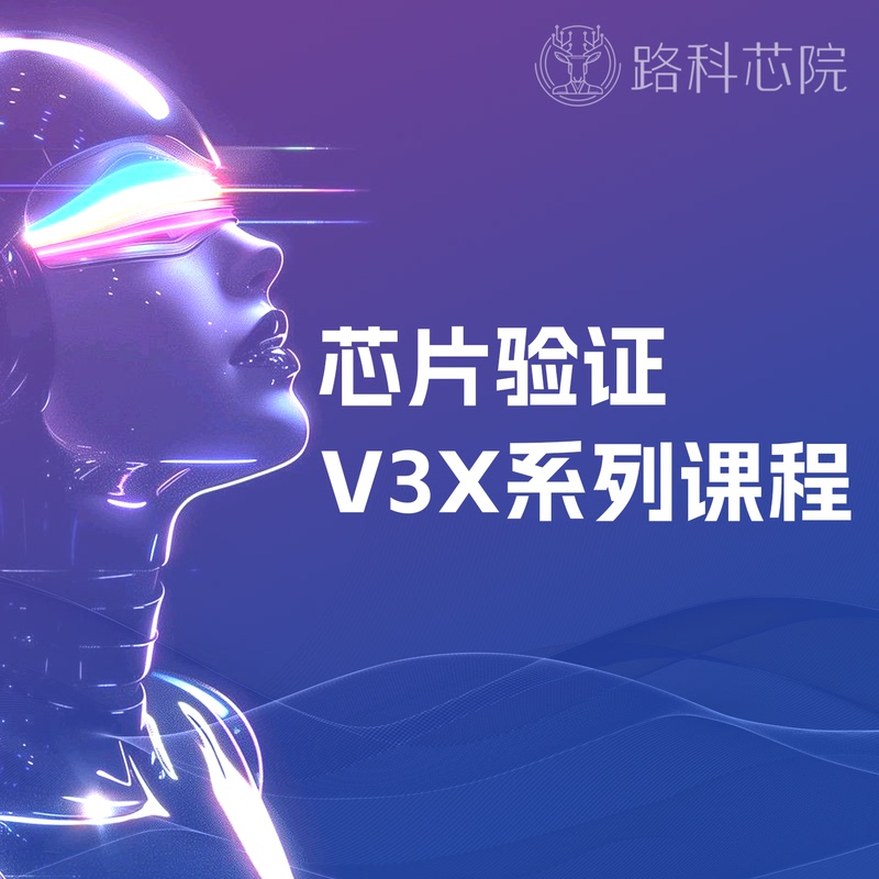 Chip Verification V3X Course - Towards the Path of Verification Leadership - [Luo Ke Verification] - Directly Taught by Lu Sang