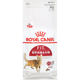 Royal Cat Food F32 Ideal Body Adult Cat Food Pet Cat British Short Ragdoll ໂພຊະນາການທົ່ວໄປ ອາຫານແມວຜູ້ໃຫຍ່ 2KG