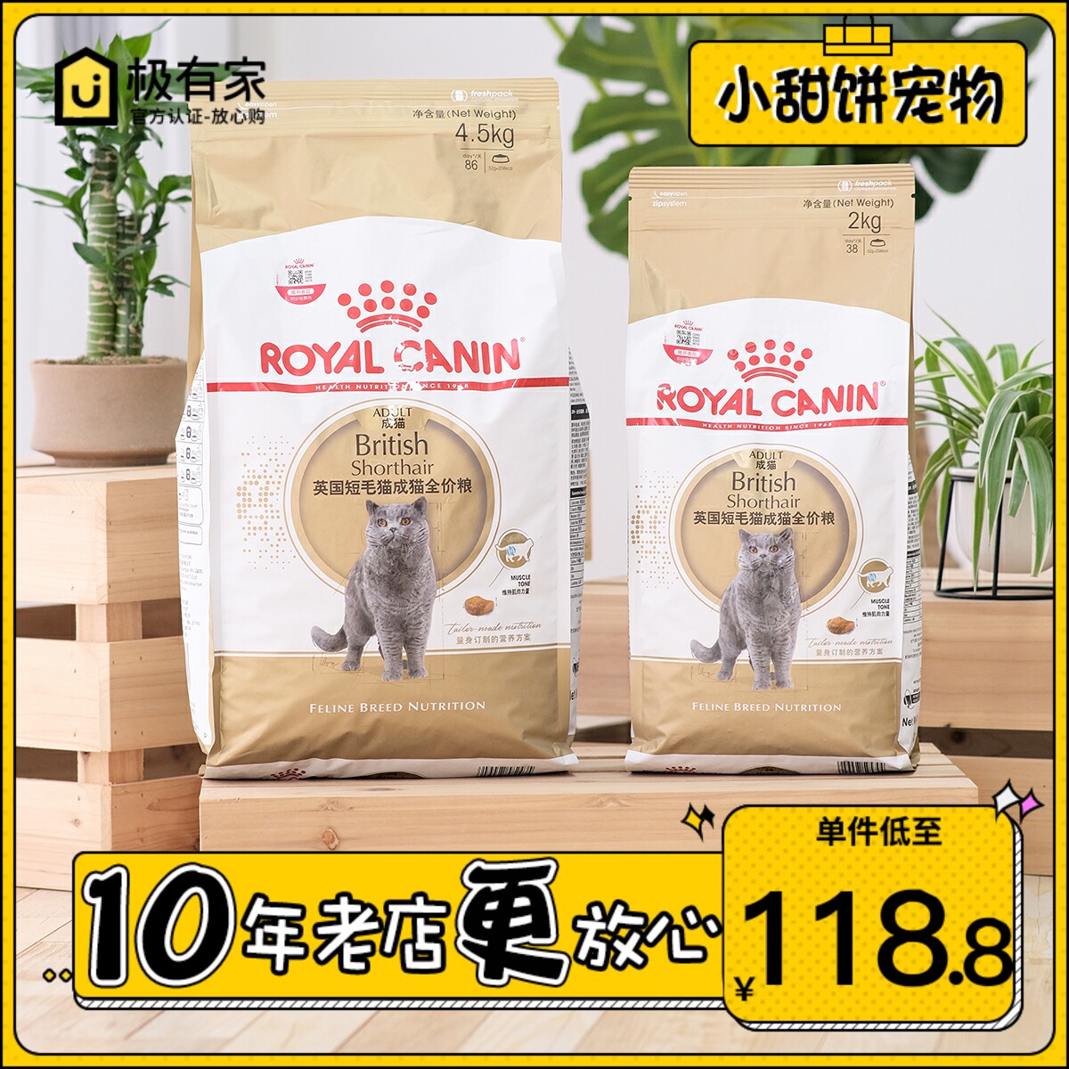 Royal cat food BS34 British shorthair adult cat gold and silver gradient blue cat Jinjila special 2KG nutrition fattening
