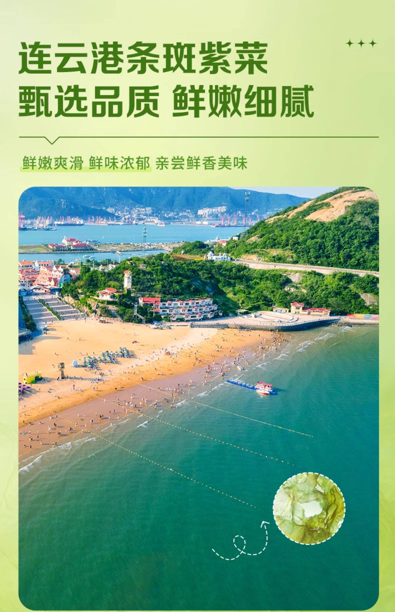 百草味 零食芝麻紫菜海味果蔬脆海苔酥脆 【6种坚果籽类 约40%含量】每日坚果海苔脆50g