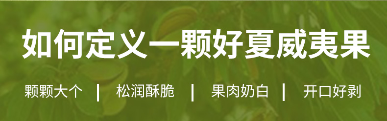 进口大果，300度开口轻松剥：500g 百草味 奶油味夏威夷果 42.9元包邮 买手党-买手聚集的地方