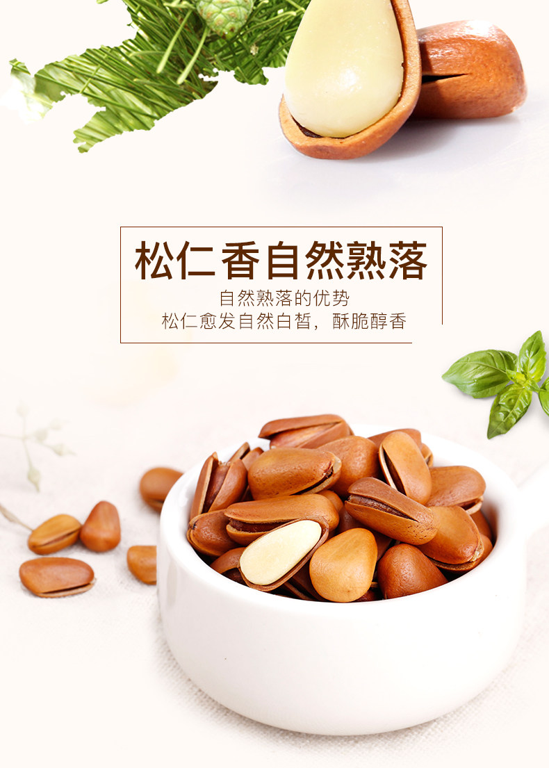 东北松子 PC_03.jpg