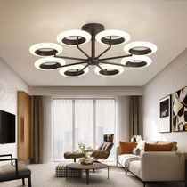 Simple post-modern living room chandelier atmospheric personality Nordic lights restaurant creative high-grade led iron ceiling lamps