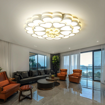 Simple modern living room lamp atmospheric household led ceiling lamp creative personality flower-shaped hall small living room bedroom lamp