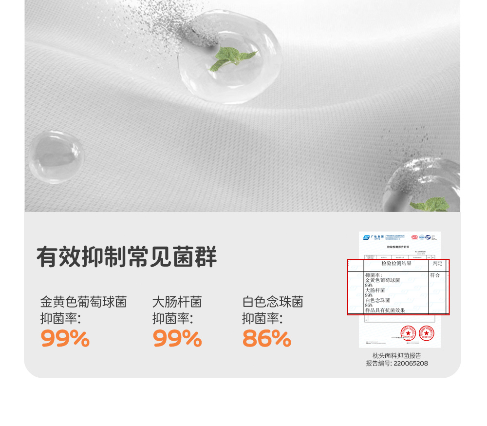 Подушка с напряженным кальмаром case_09.jpg