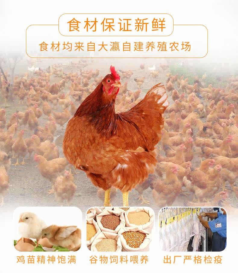 Пять специфических куриных ног-new_04.jpg