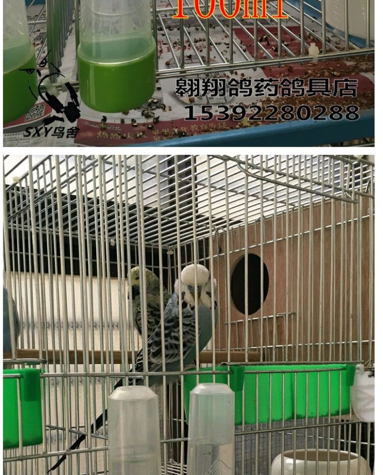 Chim uống tự động đài phun nước tự động thiết bị rò rỉ chim bồ câu uống nước chai vẹt uống cốc cung cấp chim uống cốc - Chim & Chăm sóc chim Supplies long chim chao mao dep