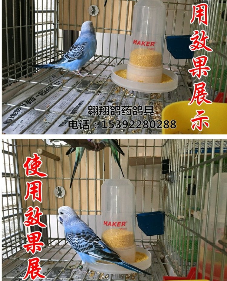 Chim với nước uống tự động rầy vẹt chim vẹt bát cho ăn khay thức ăn thức ăn cho chim máng - Chim & Chăm sóc chim Supplies lồng trần cu gáy