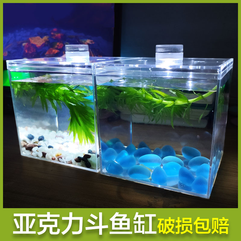 Super white betta tank mini fish tank ecological bottle desk living room small square betta box cup goldfish tank - Taobao