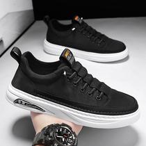 Trendy brand mens shoes 2024 new summer breathable ice silk canvas slip-on sneakers versatile sports leisure trendy and leisure work