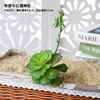 Budded Stone Lotus Green