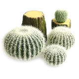 Скандинавские имитированные белые шипы кактуса, украшения в горшках, большие искусственные зеленые растения, бонсай, украшение, тропические пустынные растения, ландшафтный дизайн