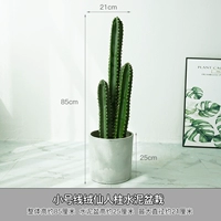 Белый цементный бассейн маленький бархатный имплантирован