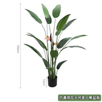 Горшечное растение с большой цветущей райской птицей