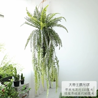 Великий император папоротник