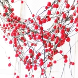 Симуляция ручной ручной красный фруктовый шашлык с дверной занавеской