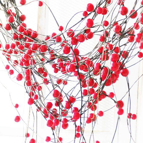 Симуляция ручной ручной красный фруктовый шашлык с дверной занавеской