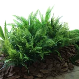 Симуляция jueye ощущение персидского папоротника свежее зеленое цветочное расположение комната для крылья