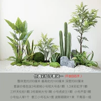 Симуляция радуга Таро установил один