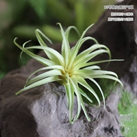 №13 спрей белый иней воздушная трава