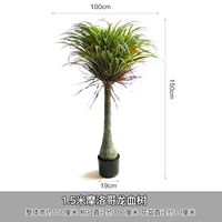 150 см имитирует дерево крови мексиканского дракона (зашифровано)