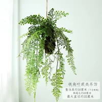 Железный угловой папоротник подвеска