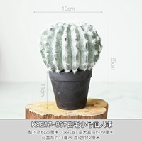 KXE17-807 седовласого маленького сказочного шарика