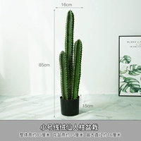 Небольшой имплантированный бархатный горшок с столбцами