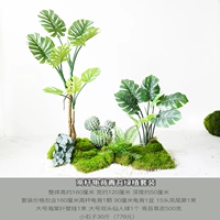 Высоко -родная черепаха Мосс Зеленый Зеленый набор