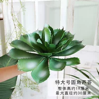 Бордовый очень большой гель алоэ вера