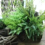 Симуляция jueye ощущение персидского папоротника свежее зеленое цветочное расположение комната для крылья