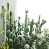 Северные симуляции сказочные марионеточные колонны шарики столбы Tian ru Тропические зеленые растения Внутренние окна