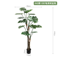 INS толстое горшечное растение черепахового дерева с 15 листьями