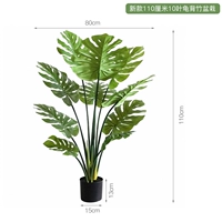 Новое горшечное растение таро черепаха высотой 110 см, 10 листьев.