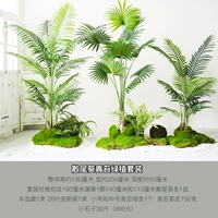 Sancai Sunflower Moss Green Set Set