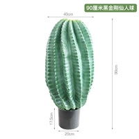 Кактус «Черный бриллиант» высотой 90 см.